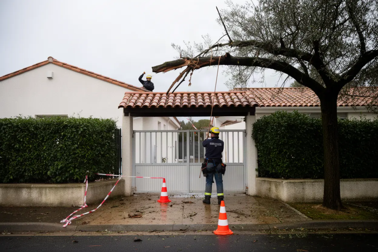 Élagueur sécurisant une branche cassée à Béziers