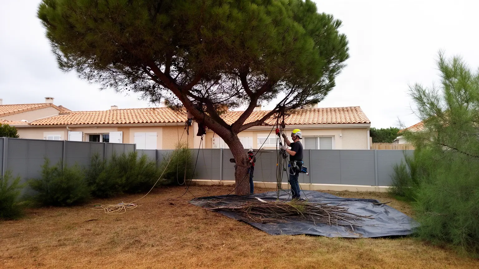 Élagueur professionnel à Valras-Plage pour des arbres sains et sûrs